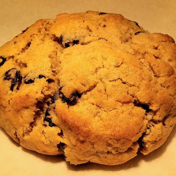 Oatmeal Raisin Cookie