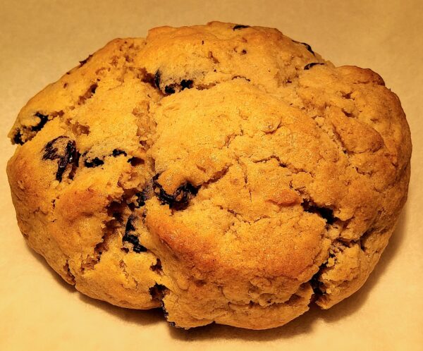 Oatmeal Raisin Cookie